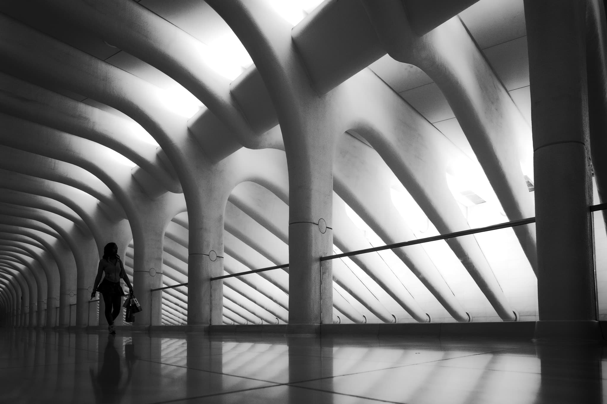 A silhouetted figure carrying a bag walks beneath the backlit white ribs of the Oculus, light flooding between the angled columns.